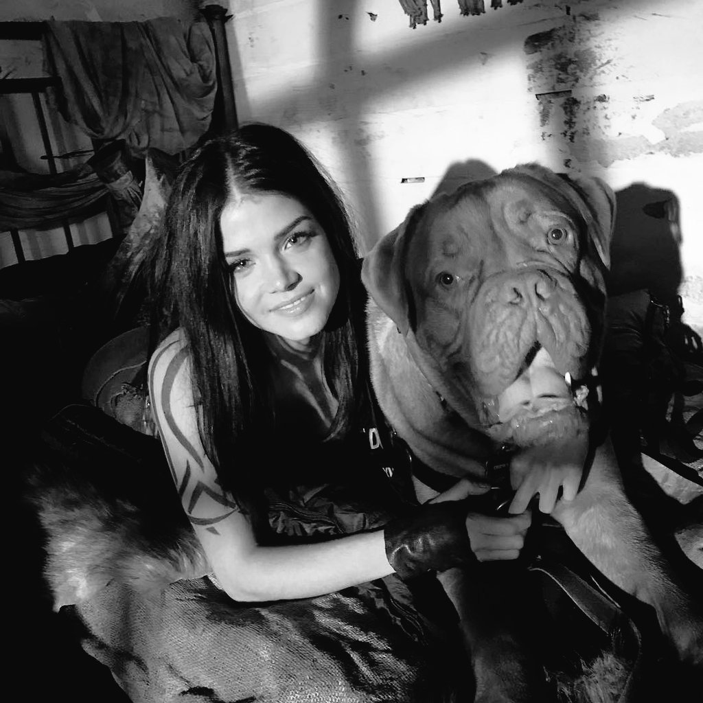 best of the 100 tweet media