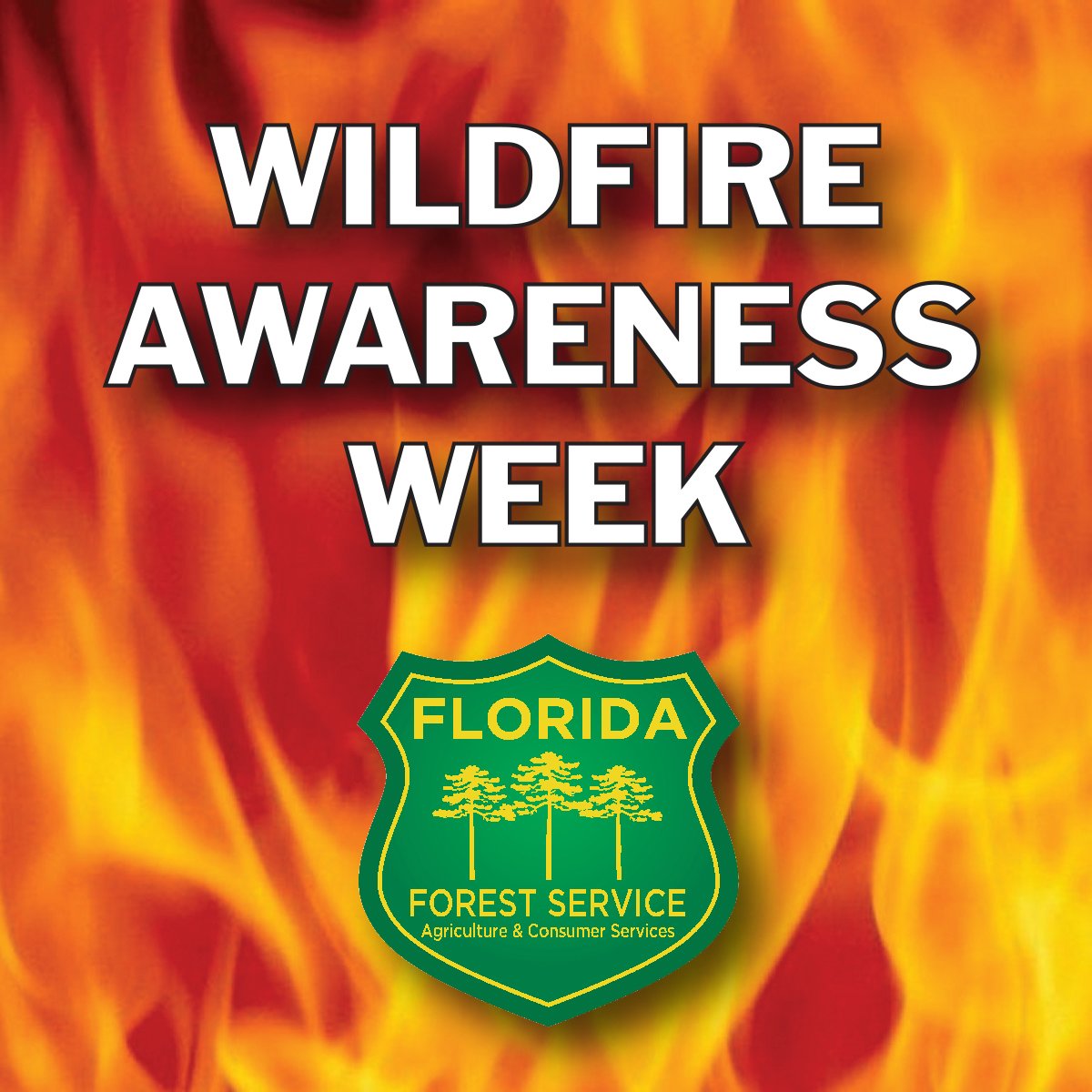 FFS_Blackwater's tweet photo. On average, the Florida Forest Service battles nearly 3,000 #wildfires a year. While lightning accounts for 36% of fire causes, the remaining starts are mostly human-caused and preventable. Learn more about preventing wildfires at https://t.co/MrfBPLdqmz #wildfireaware #FLFires https://t.co/fjiOhFWrwL