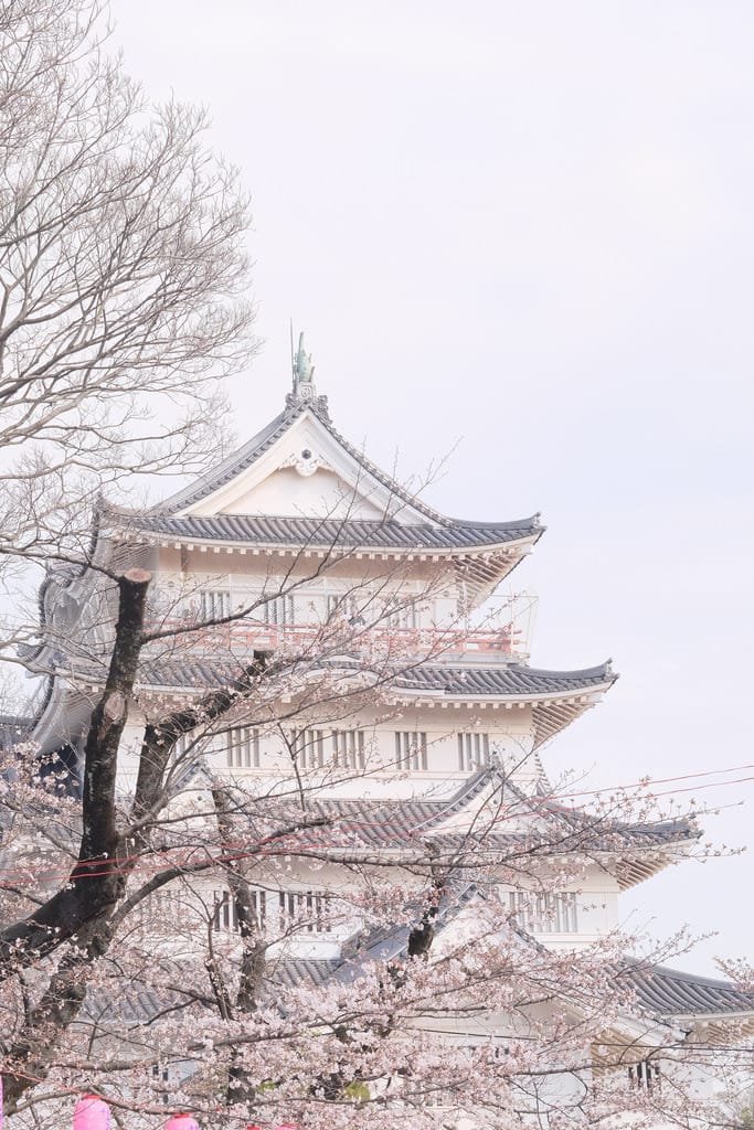 Japan_Vibes's tweet photo. https://t.co/lujUwddEvG