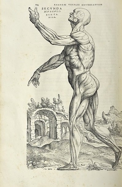 RCPSGheritage's tweet image. Travel through time with us and Scottish storyteller @HerbalStorytell to explore the weird and wonderful stories of medical history at our #FoM2018 #familyworkshop "Visualising Medical Heritage and Storytelling" rcp.sg/FoM18 #histmed #museums