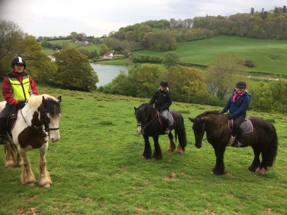 QuantockTrekkin's tweet photo. Two day tailor made horse riding holidays available. Beautiful views, stunning scenery, excellent pubs for lunch @Equitrekking @EquineHour @horsemagazine @Horse_and_Rider @Quantockhills @SmrsetOutdoorNT @somersetwhatson https://t.co/FtAfvO32VO