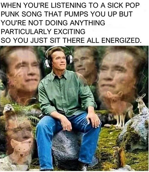 Platform Rocks tweet media