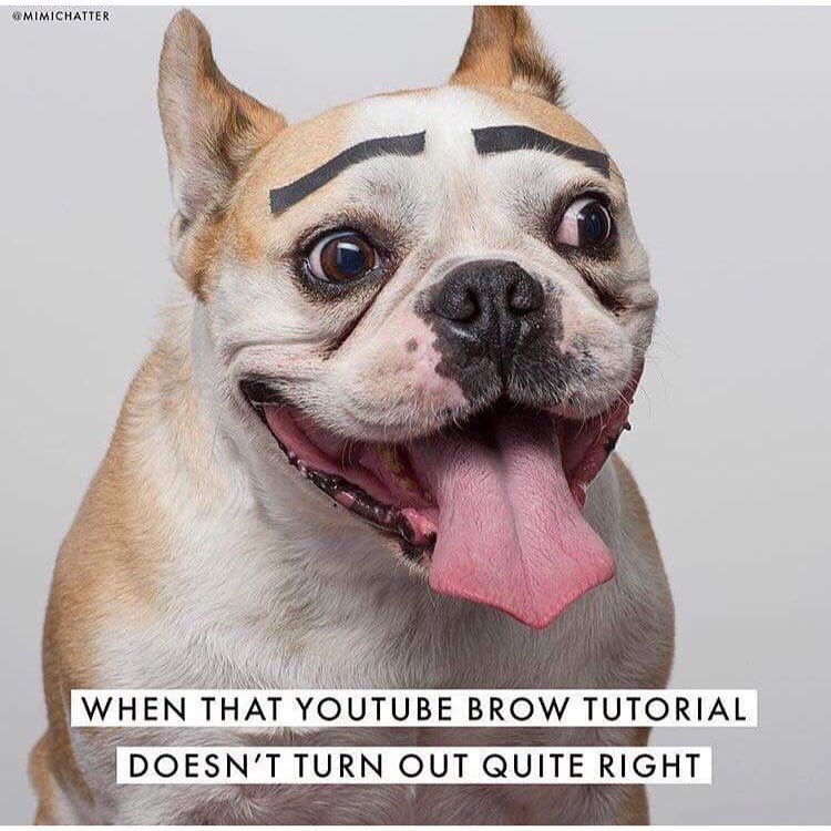 luxurywaxbar's tweet image. That’s why you can’t rely on tutorials and you need a brow specialist 😂👏🏼 For just £18 you will get the perfect shape suitable for your face and a tint that will last you for few weeks. #LuxuryWaxBar #eyebrowshaping #eyebrowtutorial #funnymemes