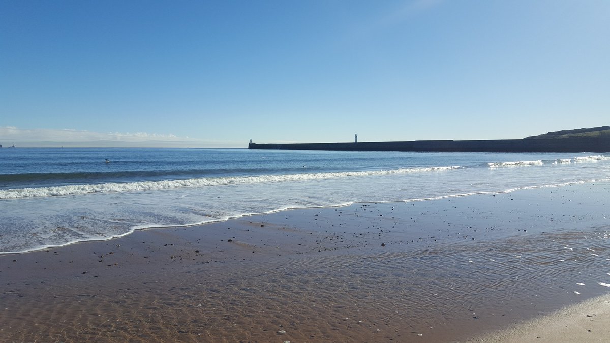 EastonCatherine's tweet photo. Arrived on a typical Aberdeen day for #bileta18 (@EdinaRl we may get some Portuguese-style drinking after all) AGM @6.30 C49 Taylor Building, Law School #dolphin #probablyaduck https://t.co/BzVqDZX8B0