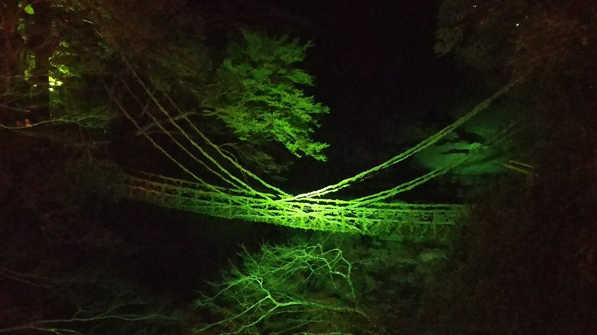 けんたろう 夕食後にはホテルのマイクロバスでかずら橋ナイトツアー かずら橋も琵琶の滝も幻想的にライトアップされていました でも一番感激したのは真っ暗な場所でバスを停めてくれて見上げた祖谷の星空でした