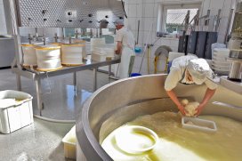 Boerderij_nl's tweet photo. COKZ voert aantal beoordelingen zuivel stevig op https://t.co/wjfr81miHM https://t.co/b1gJDVXgL0