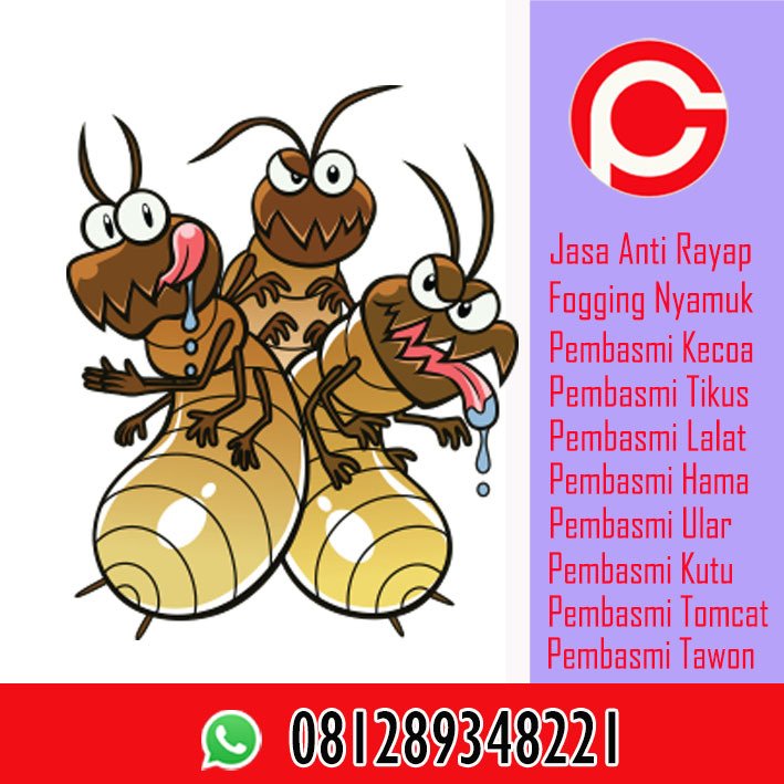 Garda Pest Control Bandung (GardaPest) Twitter