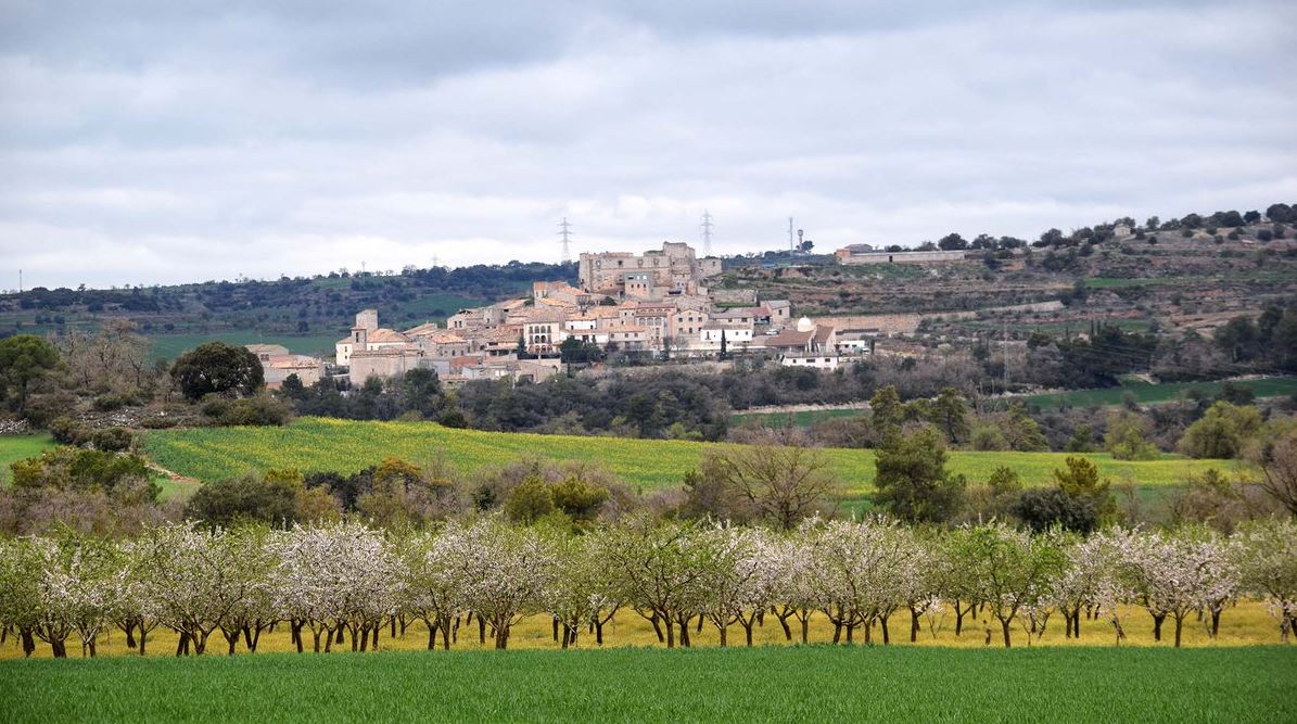 Temps de #primaverasegarra a #SantaFe #ValldelSió by @SomSegarra  @aralleida @descobrircat @qbitacola @Espirituviajero @Turisme_Segarra @lasegarra +info visit.somsegarra.cat/ca/city/Santa%…