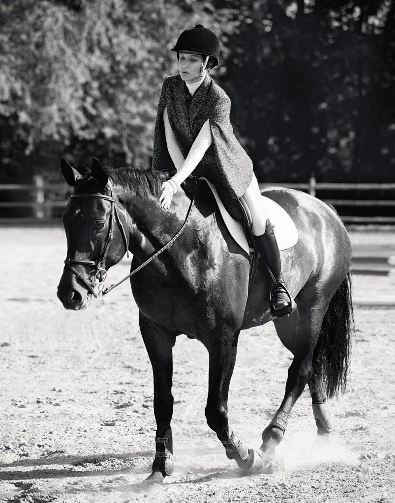 trslifestyle's tweet photo. We couldn't help but feel inspired with this iconic equestrian beauty. @bellahadid 🙌🐴 #Monday #Equestrian #Motivation
#rider #beautiful #mondaymotivation #equestrianstyle #equestrianfashion #chic #theridersside #horse https://t.co/JGwWFn2mWZ