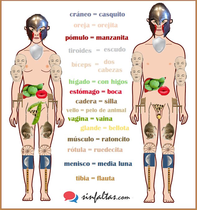 loquelespesc's tweet photo. Así es nuestro cuerpo literalmente 😉

👫🍎🐭👄🌗 #LQEEE https://t.co/A18vRH6CW0