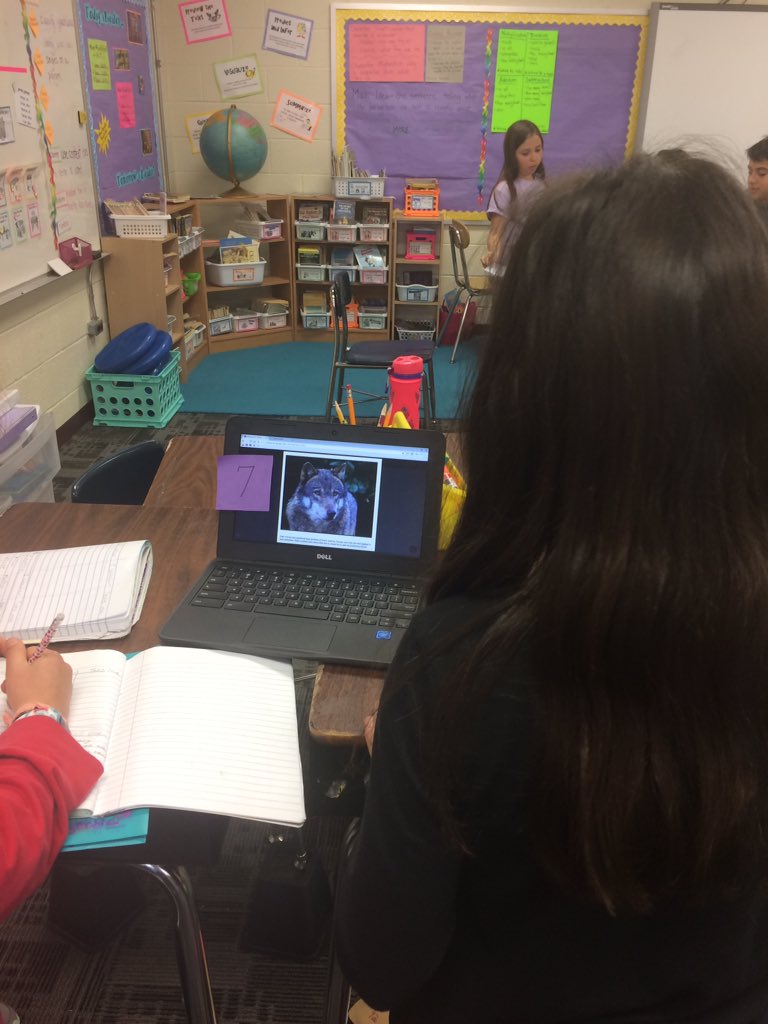 rebeccanyiri's tweet photo. Analyzing fiction and nonfiction images to introduce our unit on wolves. How is the wolf portrayed differently? #readingisengaging @ashlee_ciccone https://t.co/li5brzzzlx