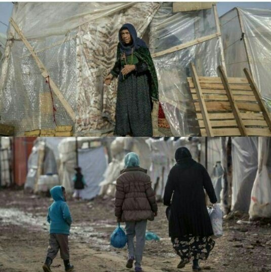 anonymous_patch's tweet photo. مگر چه می‌خواهم از وطن؟
جز لقمه‌ای نان و خیالی آسوده.
چه می‌خواهم؟
جز تکه‌ای آفتاب وُ
بارانی که آهسته ببارد.
جز پنجره‌ای که رو به عشق و آزادی گشوده شود.
مگر چه خواستم از وطن که از من دریغش کردند؟
آه ای میهنِ مغموم
وطنِ از پا افتاده
بدرود
بدرود

#disasterinkermanshah https://t.co/cRfcamTfCA