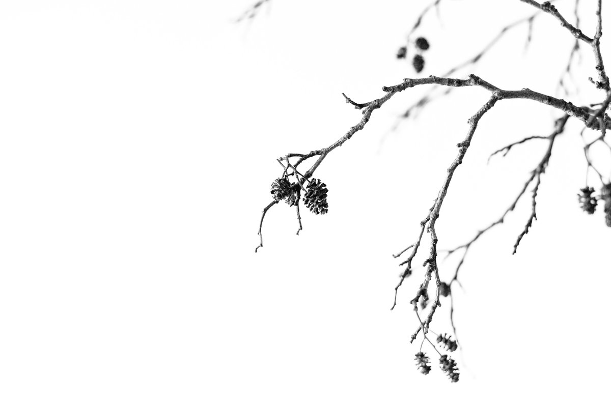 Tijdens een #koffieochtend mogen vertellen over #afscheidsfotografie. Wat een mooie morgen was dit. Bijzondere gesprekken mogen voeren met mensen en meer bekendheid mogen geven over deze ondersteuning bij de #rouwverwerking.