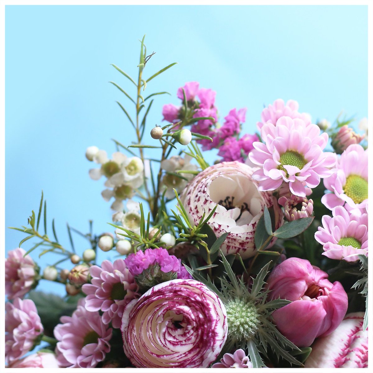 Monsieur Marguerite On Twitter Il Est Pas Beau Le Petit