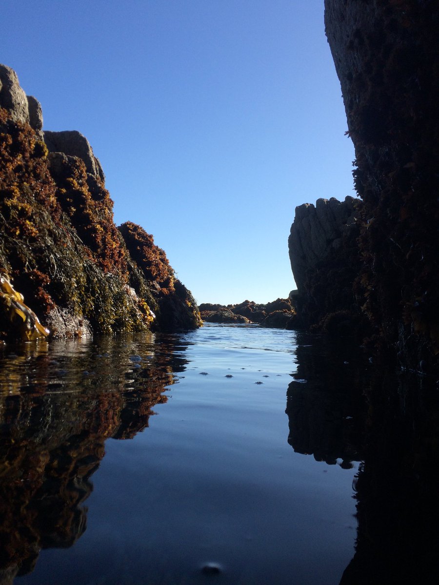 Oakdaddy128's tweet photo. @smartereveryday @YouTube A photo I took in Monterey California. Summer 2017. Thank you for awesome videos Mr. Sandlin. https://t.co/Wb816YziyT