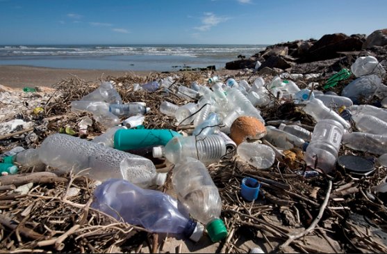 ShipEarthDay's tweet photo. Did you know that plastic bags and other plastic garbage thrown into the ocean kill as many as 1,000,000 sea creatures every year? @TheOceanCleanup #RecycleShip https://t.co/dj2EL33fmG