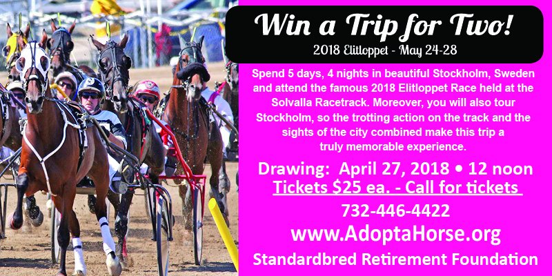 Win a trip to Sweden for the Elitloppet Race in Stockholm! $25 a ticket to benefit SRF, call our office for your tickets today 732-446-4422