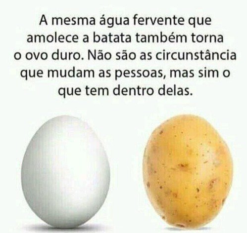 Suh Pontes (@sulapontes) on Twitter photo 