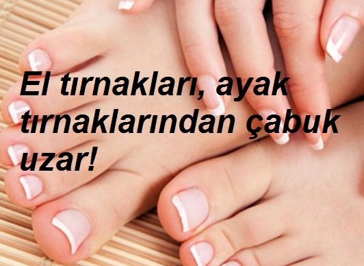 BingoBilgi's tweet photo. El tırnakları, ayak tırnaklarından çabuk uzar.
#bingobilgi #faydalibilgiler #pratikbilgi #pufnoktasi #ayak #el #tırnak #manikür #pedikür #ayakkabi #ayakkokusu https://t.co/qCCMCThji4