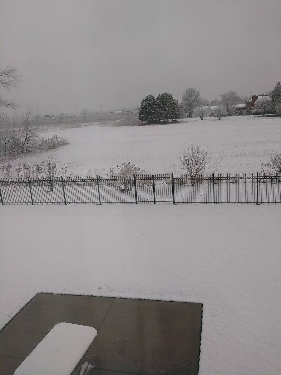 Forte_Vee's tweet image. You've got to be kidding me😩 #StillWinter #SpringWhere