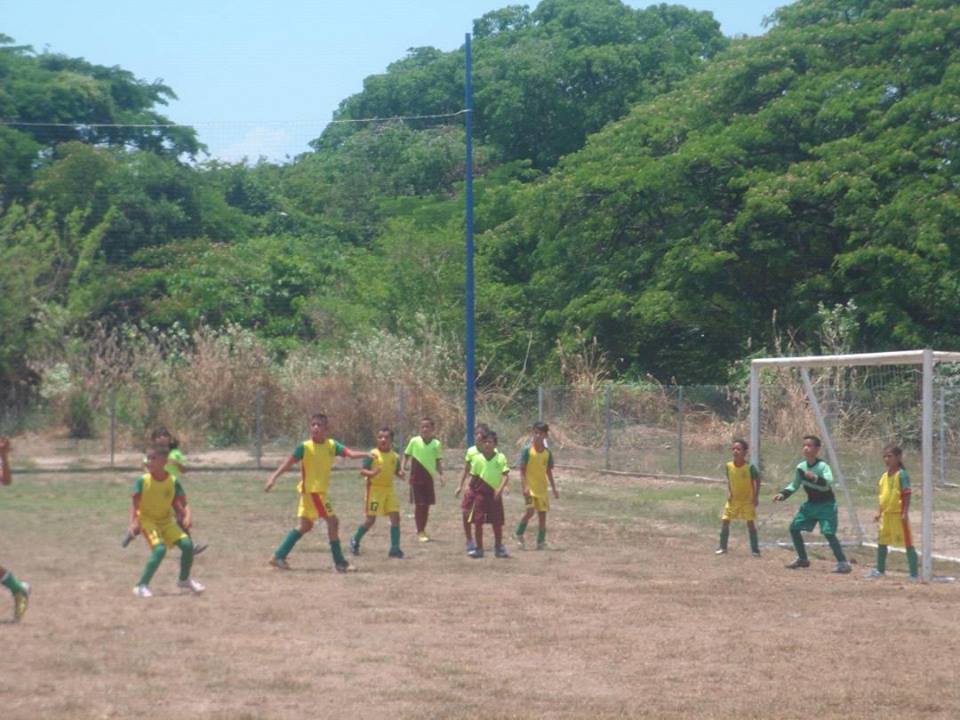 EMF_PAVECA's tweet photo. Nuestra #sub10 #estadal2018 vs Clubatleticosanjoaquin @EFM_PAVECA https://t.co/m7wGA45Pv3