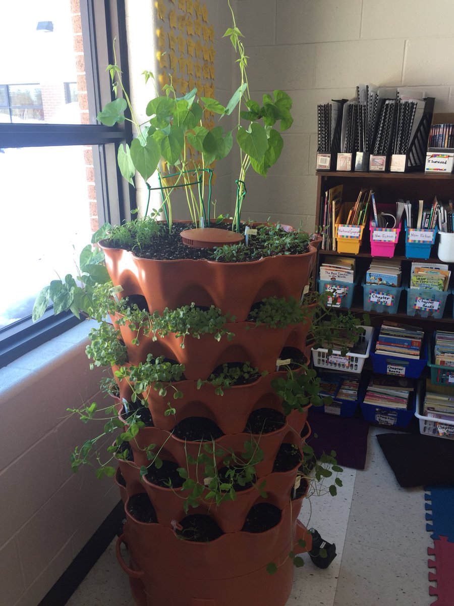 Mrs. Simmons Gr3/4 tweet media