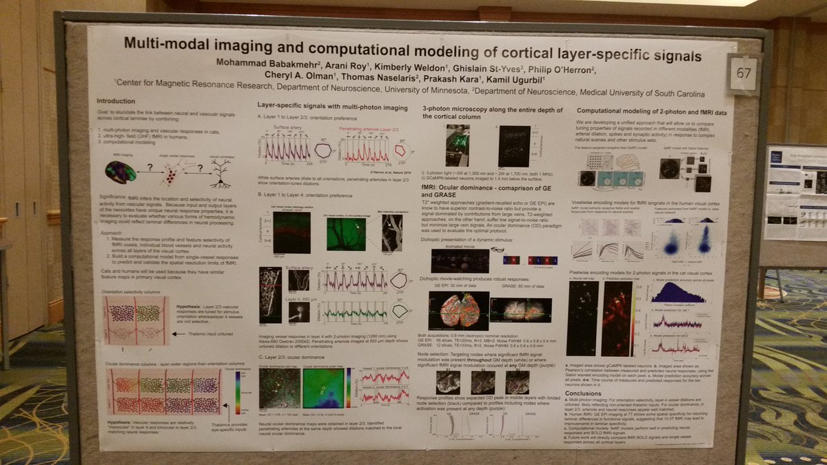 layerfMRI's tweet photo. Awesome conference on NIH BRAIN- initiative grants in Bethesda. A lot of layer-fMRI work today. https://t.co/PbDQqCmXIO