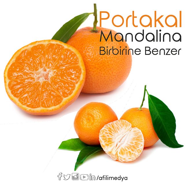 Dijital Pazarlama ve en önemli araçlarından Sosyal Medya Yönetimi gibi hizmetleri müşterilerimiz kıyaslarken Portakal ile Mandalina arasındaki farkı gördükleri gibi görürlerse daha karlı olacaklardır. 
#sosyalmedya #sosyalmedyayönetimi #sosyalmedyadanışmanlığı #dijitalpazarlama #