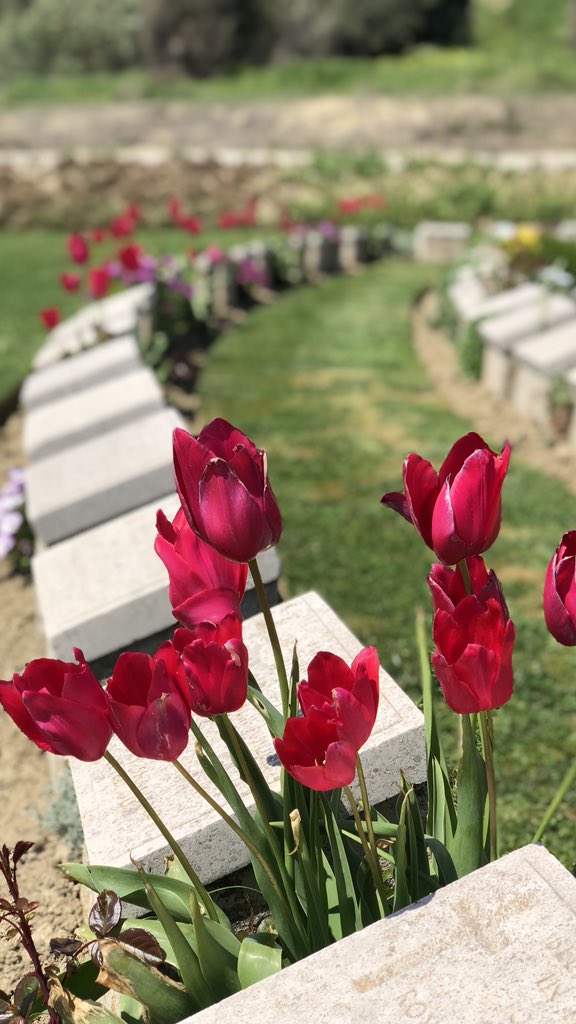 bnbgundogan's tweet photo. @Bennett22David @Tom53059787 @kuntizzella @canbaycan60  #HellesCemeteries #VBeach #PinkFarm #LancashireLanding such a beautiful day https://t.co/sTaN077BTd