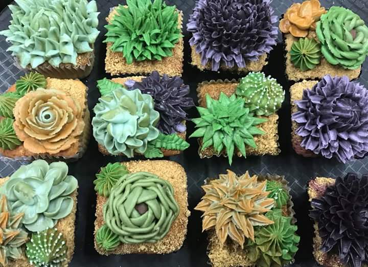 TresLecheria's tweet photo. How much fun are these buttercream succulent cupCubes?? #cupCube #cubesbaking #seattlepanaderia #seattlebakery #seattlecupcakes https://t.co/sfcVooHiqP