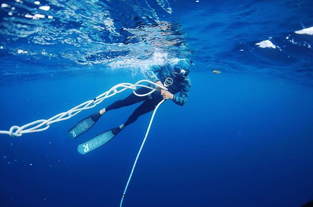 We have courses every weekend in April! These classes are filling up quick. Sign-up today to reserve your spot! Teach Me To Freedive Visit the website in our bio for more information!