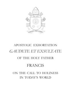 James Martin, SJ on X: An incredible passage from Pope Francis' document  Gaudete et Exsultate, taking aim at Catholics with an obsession with the  law, an absorption with social and political advantages [