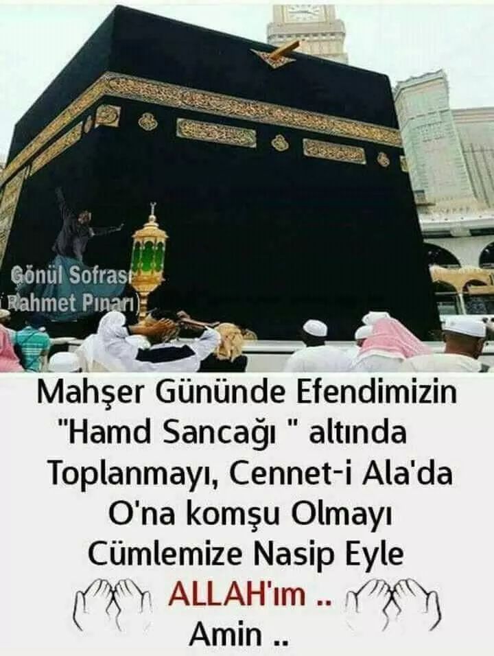 Cengiz Mantar (@mantarcengiz) on Twitter photo 