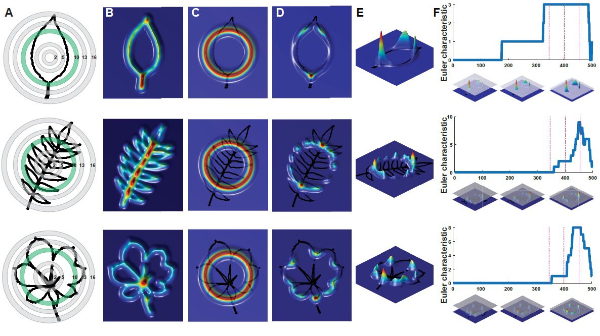 epub cardiac bioelectric therapy mechanisms and practical