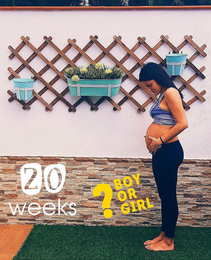 Soniia_cm's tweet photo. Aunque todo apunta que será una NIÑA... no para quieta y no se deja ver con seguridad!!! No sabemos a quién saldrá!!!!! 😅😅
Lo más importante es que sea lo que sea... está todo perfecto!!! 😍😍
#20weekspregnant #dulceespera #felicidadAbsoluta https://t.co/AJaB1khAuA