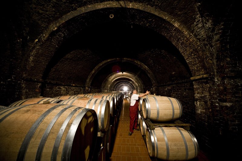 Cresce del 9% il turismo “goloso” in Italia, spinto dal vino: il Rapporto sul #Turismo #Enogastronomico #Italiano n. 1 rivela che il 41% dei connazionali ha visitato una #cantina nelle vacanze. In #Toscana, #Veneto #EmiliaRomagna 57 delle 169 #StradedelVino italiane