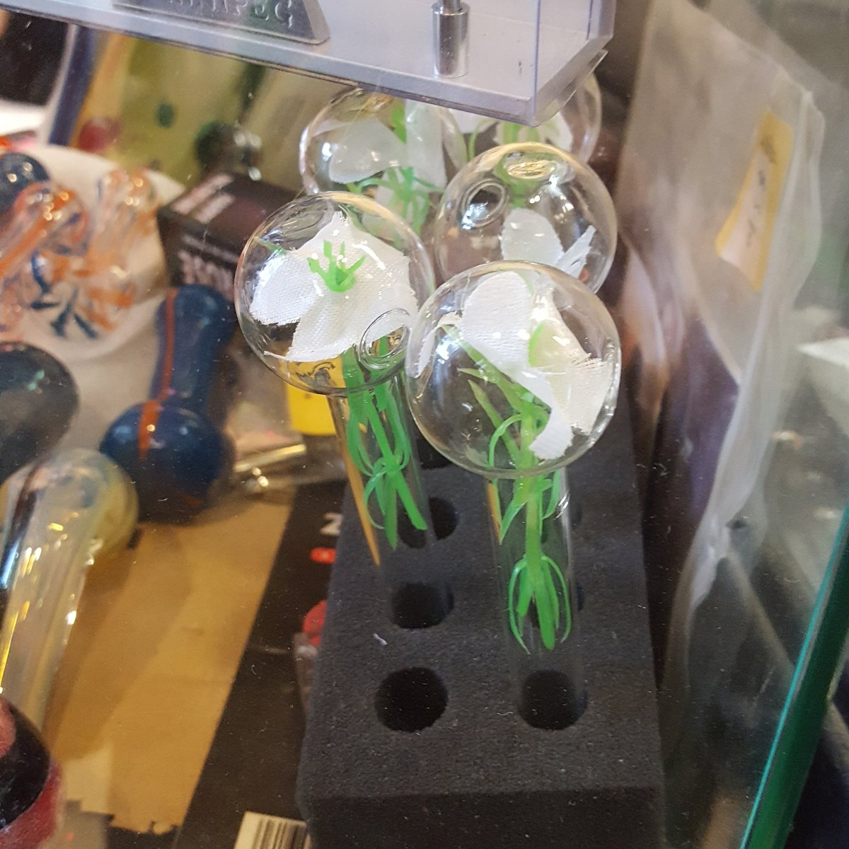 Welcome to #winnipeg