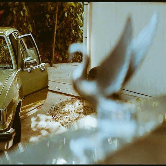 _mariestunning's tweet photo. i think that #SUNDOGS is a masterpiece. The story, characters,colours. 
But the thing that i loved the most are details. 
Jen put everything about herself in this movie, symbols, kindness, talent, Ava, her family, and Emma.
So yes, i'm a #SWANDOGS https://t.co/9vhLoriBuD