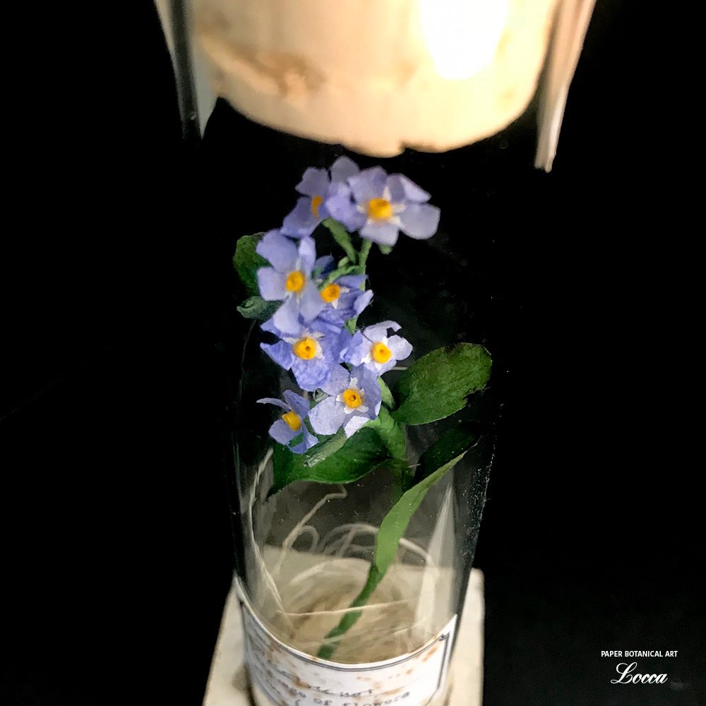 igelhof's tweet photo. #ペーパーフラワー の#勿忘草 。
#試験管 が倒れないように#コンクリート で試験管立ても作りました。新しいラベルと#パッケージ もできました！
#ペーパークラフト
#ボタニカルアート
#ハンドメイド
#手作り
#紙花 
#紙工作 
#paper 
#flower
#handcraft 
#botanical 
#art
#forgotmenot 
#blumen https://t.co/ZKUosZcC7T