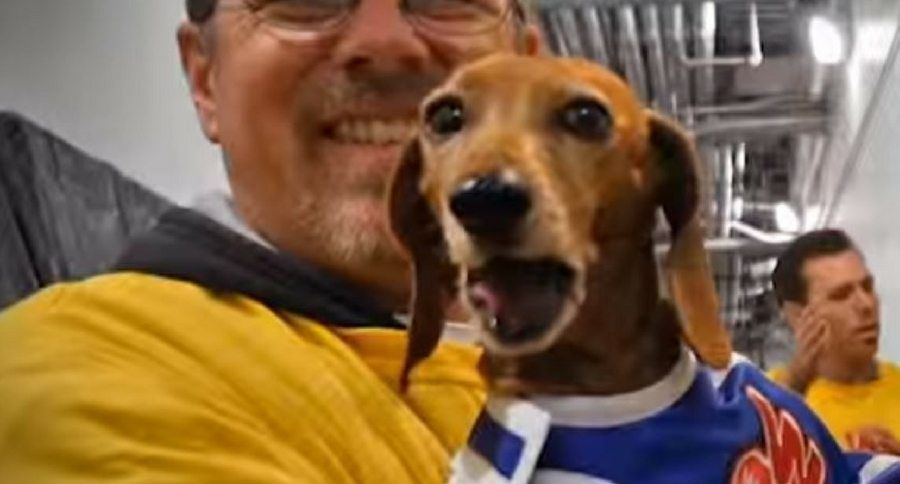 Have you ever seen a <a href="/wienerschnitzel/">Wienerschnitzel</a> #doxie race? buff.ly/2GsgpeE