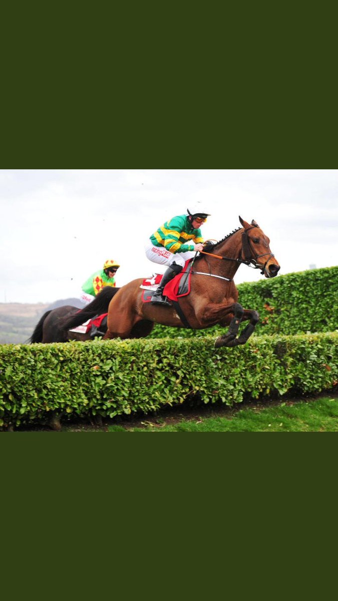 Cause of causes what a legend.3 time Cheltenham festival winner and grand national runner up.
Happy retirement.