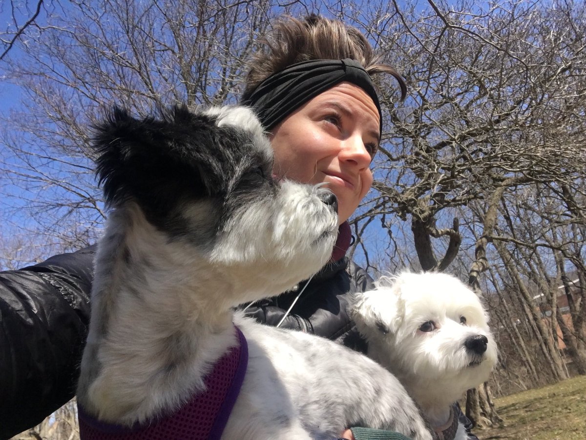 bdevon4's tweet image. My wolf pack. 🐺