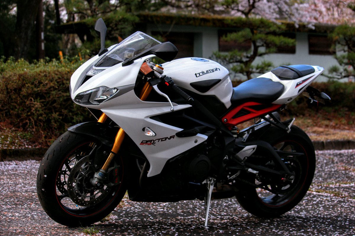 AP_artless's tweet image. ２週連続まさか桜の写真が撮れるとは思いませんでしたが
全国のデイトナファンの皆様お待たせしました！(また言ってる)

桜×Daytona675Rです！🌸

#Triumphが美しい