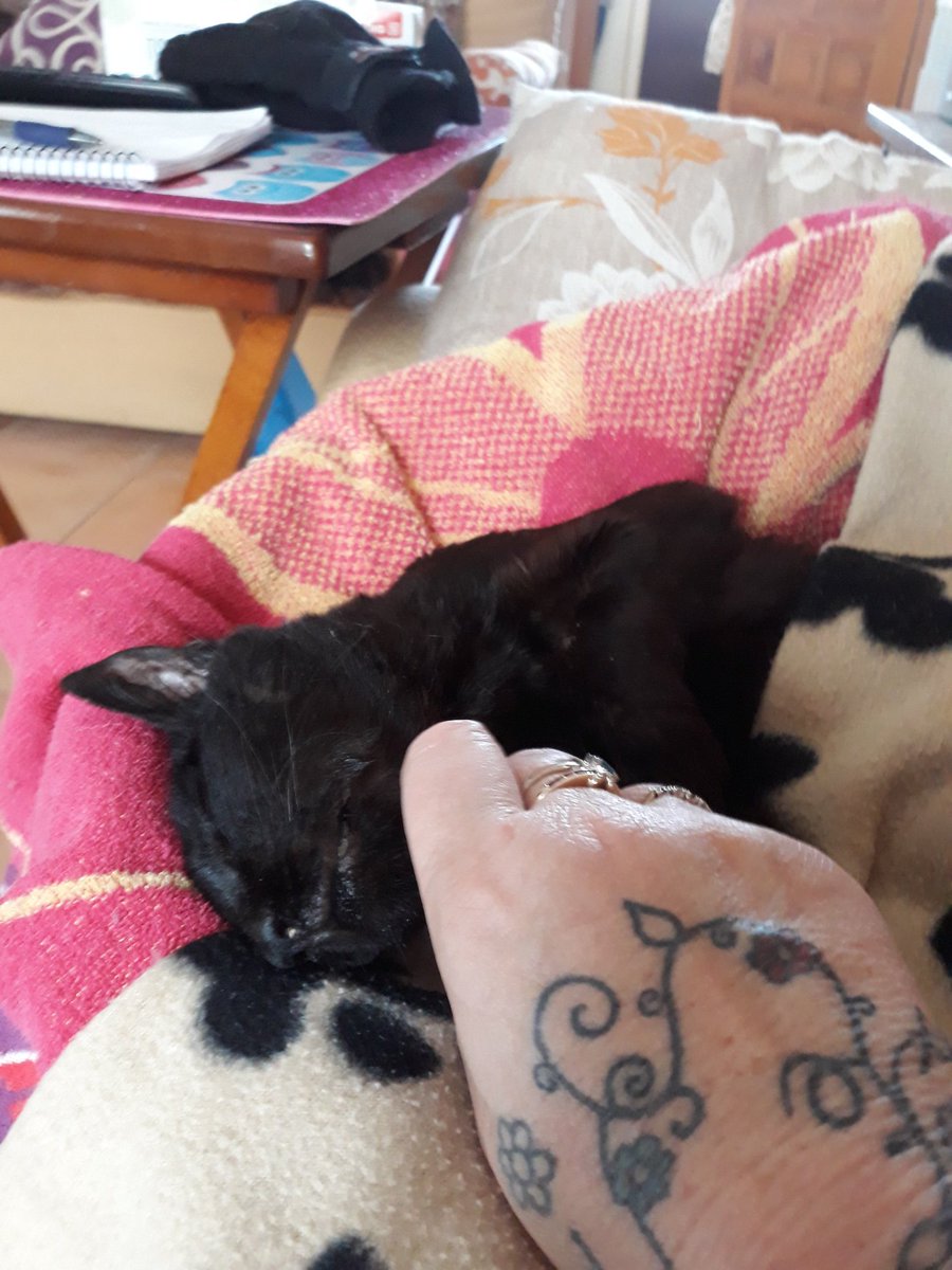 Greavsie53's tweet photo. Bus Sop Boy enjoying cuddles yesterday. He is coming to stay with me for 2 weeks in June #DisabledBoy #LoveHimToBits https://t.co/JDCxB7m83j