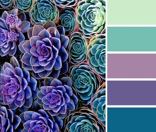 WeDoWallpaper's tweet photo. Lovely spring lavender blues and purples - #colourinspiration from pinterest to help you get designing click here https://t.co/UTv5Xp1Hxy #interiordesign #walldesign #murals #wallpaper #canvas https://t.co/ni4oLKrYw1 https://t.co/4w1U04LCJH