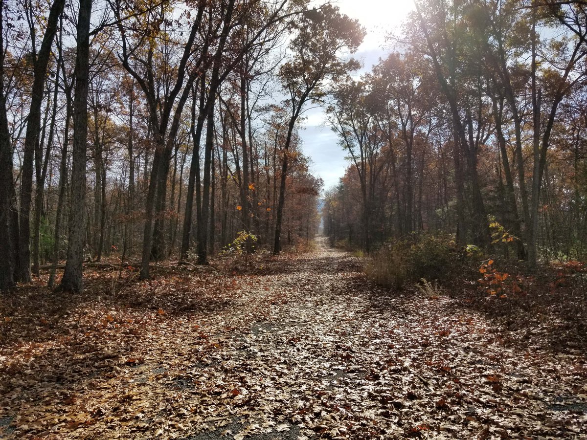 SVBattlefields's tweet photo. We are currently working to save 107 acres of the Port Republic battlefield, where the fate of Stonewall Jackson’s 1862 Valley Campaign was decided. To learn more about this important battle follow the link https://t.co/s6usaLn9aX #shenandoahvalley #USHistory #acw #SVBF #SVBNHD https://t.co/FsTDLsMbBx