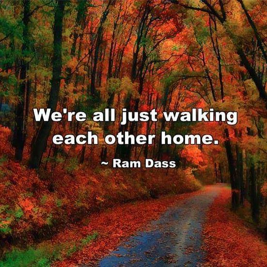ZaraGreen's tweet photo. Give no place to guilt, blame, shame or regret. They're all wasted energy.
#NextDecisionBetter
#LifeIsNotUnfair
#PersonalGrowth
#YourConsigliere https://t.co/XvKFCZfBgo
