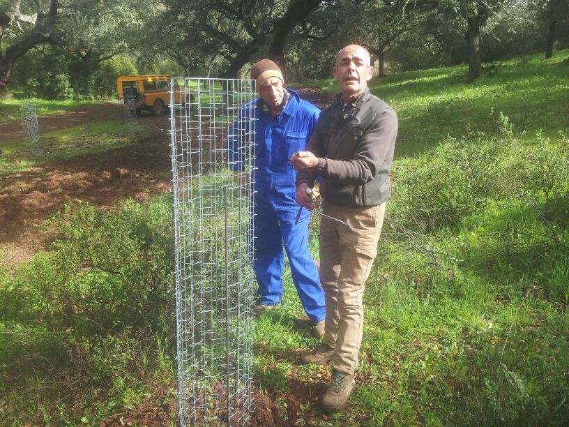 CactusProtector's tweet photo. Donación Protector Cactus al ayuntamiento de Salvaleón para proteger arbolado; PARAJE DE LOS 12 APÓSTOLES.
Desde Protector Cactus, luchamos para la conservación y preservación del arbolado.

➡ https://t.co/q9uldD0wov https://t.co/yi353qmqPR