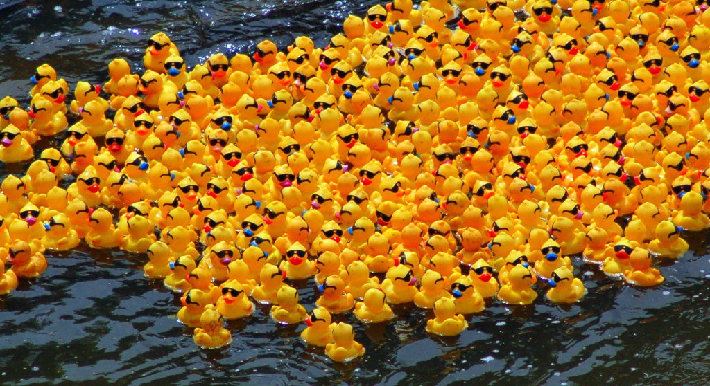 Q&amp;A: How do I possibly survive against so much competition? thefreelancery.com/qa-how-do-i-po…