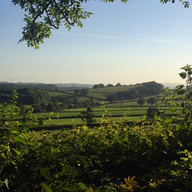 Huntscider's tweet photo. Summer will soon be here and we cannot wait! ☀️#MondayMotivation #Mondays #SummerEvenings #DevonViews #Devon #HuntsCider #ATasteOfDevon #Cider #DevonCider #Handcrafted #Craft #SouthDevon #DevonApples #Views #CheerUpYourMonday #Landscapes #Green #Summer #SummerIsOnItsWayf https://t.co/rLF9jYL47L